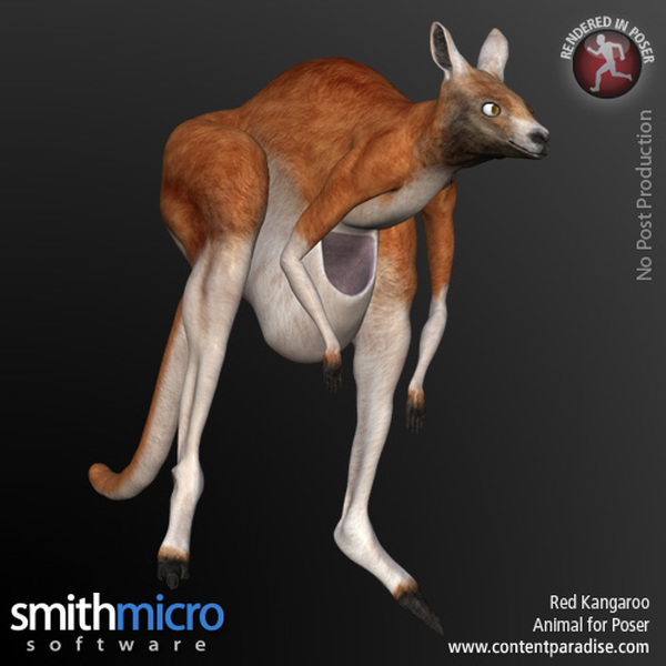 Wild World of Animals Bundle by N/A