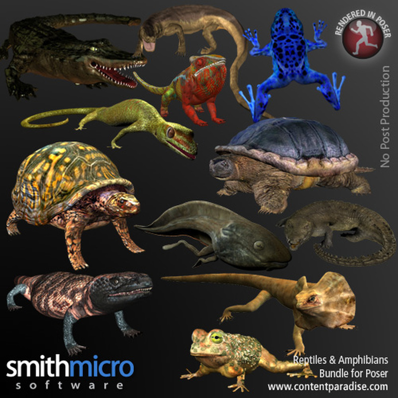 Reptiles and Amphibians Bundle by N/A