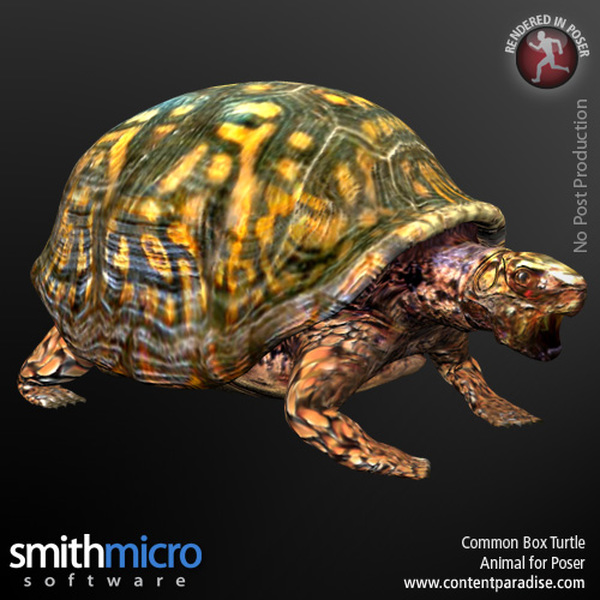 Reptiles and Amphibians Bundle by N/A