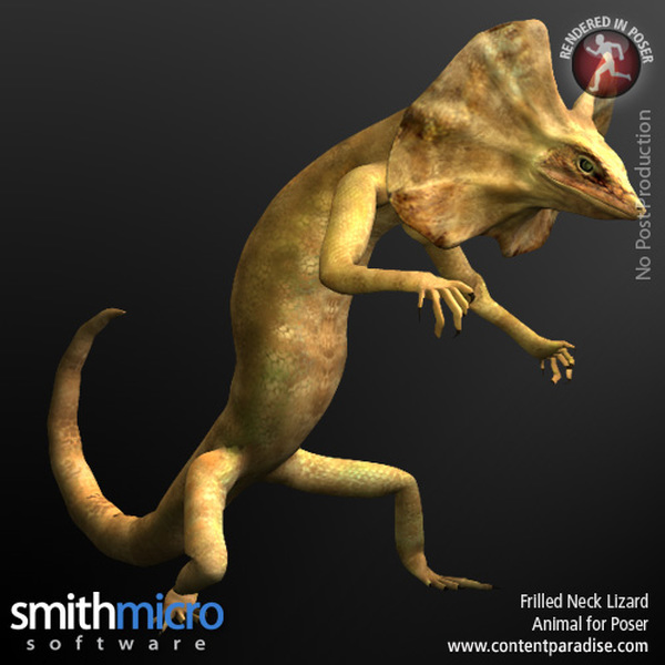 Reptiles and Amphibians Bundle by N/A
