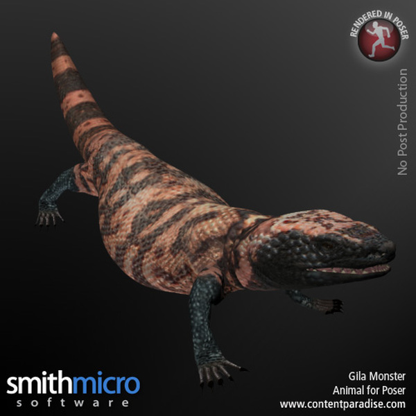 Reptiles and Amphibians Bundle by N/A