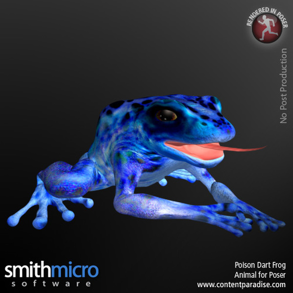 Reptiles and Amphibians Bundle by N/A