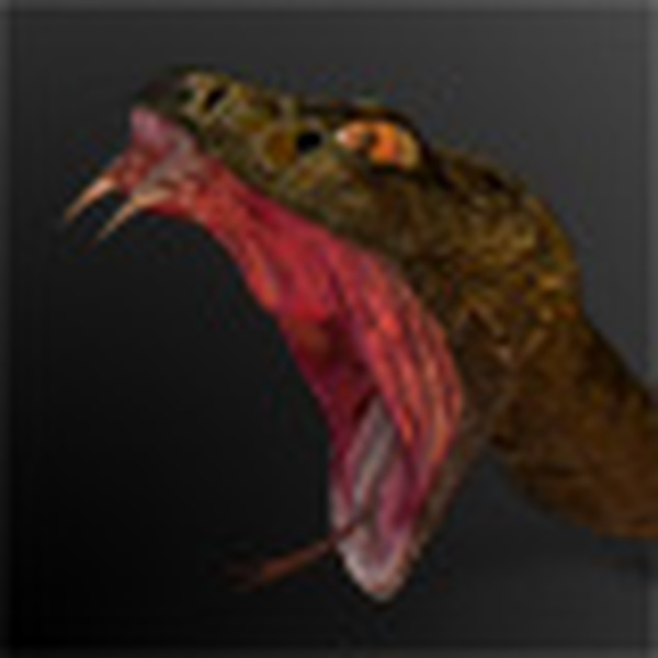 Reptiles and Amphibians Bundle by N/A