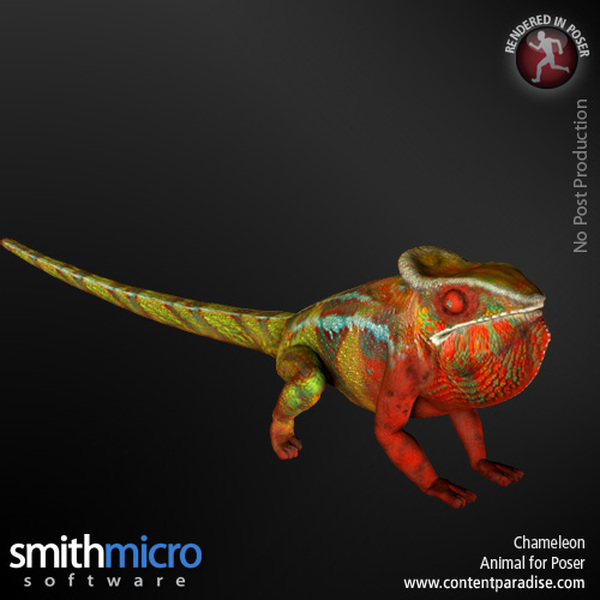 Reptiles and Amphibians Bundle by N/A