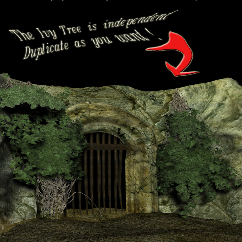 The Gate by N/A