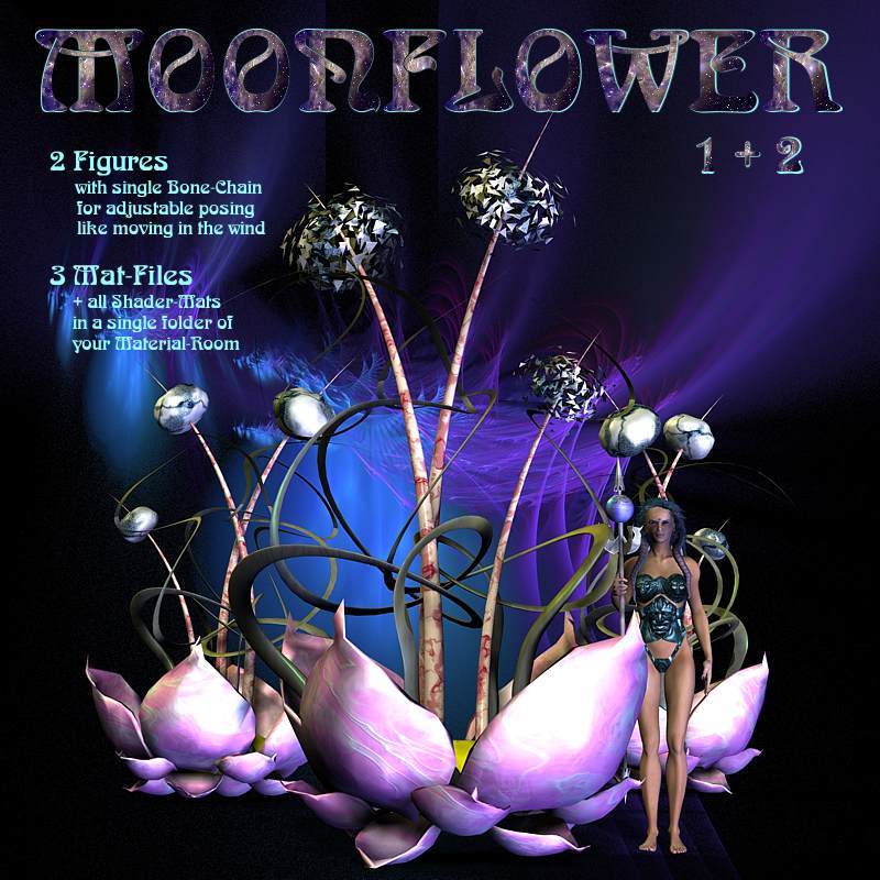 Moonflower by N/A