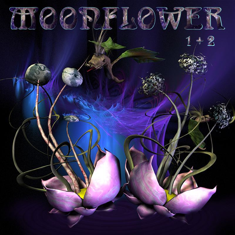 Moonflower by N/A