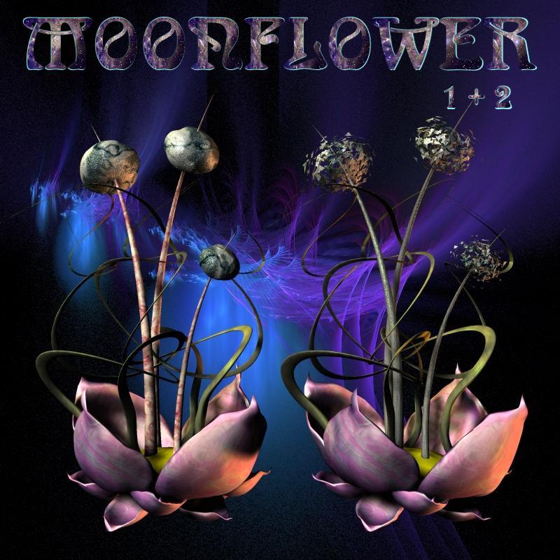 Moonflower by N/A