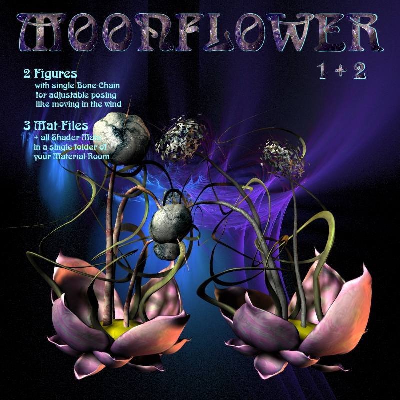 Moonflower by N/A