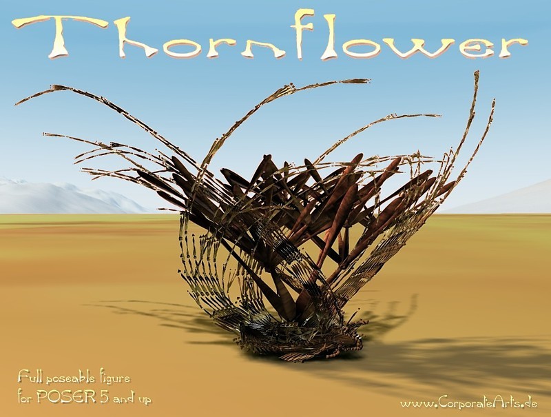 Thornflower by N/A