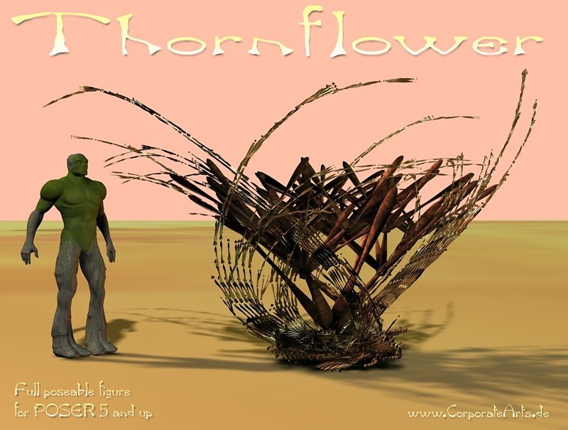 Thornflower by N/A