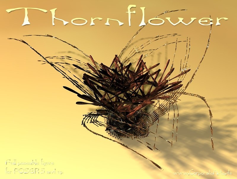 Thornflower by N/A