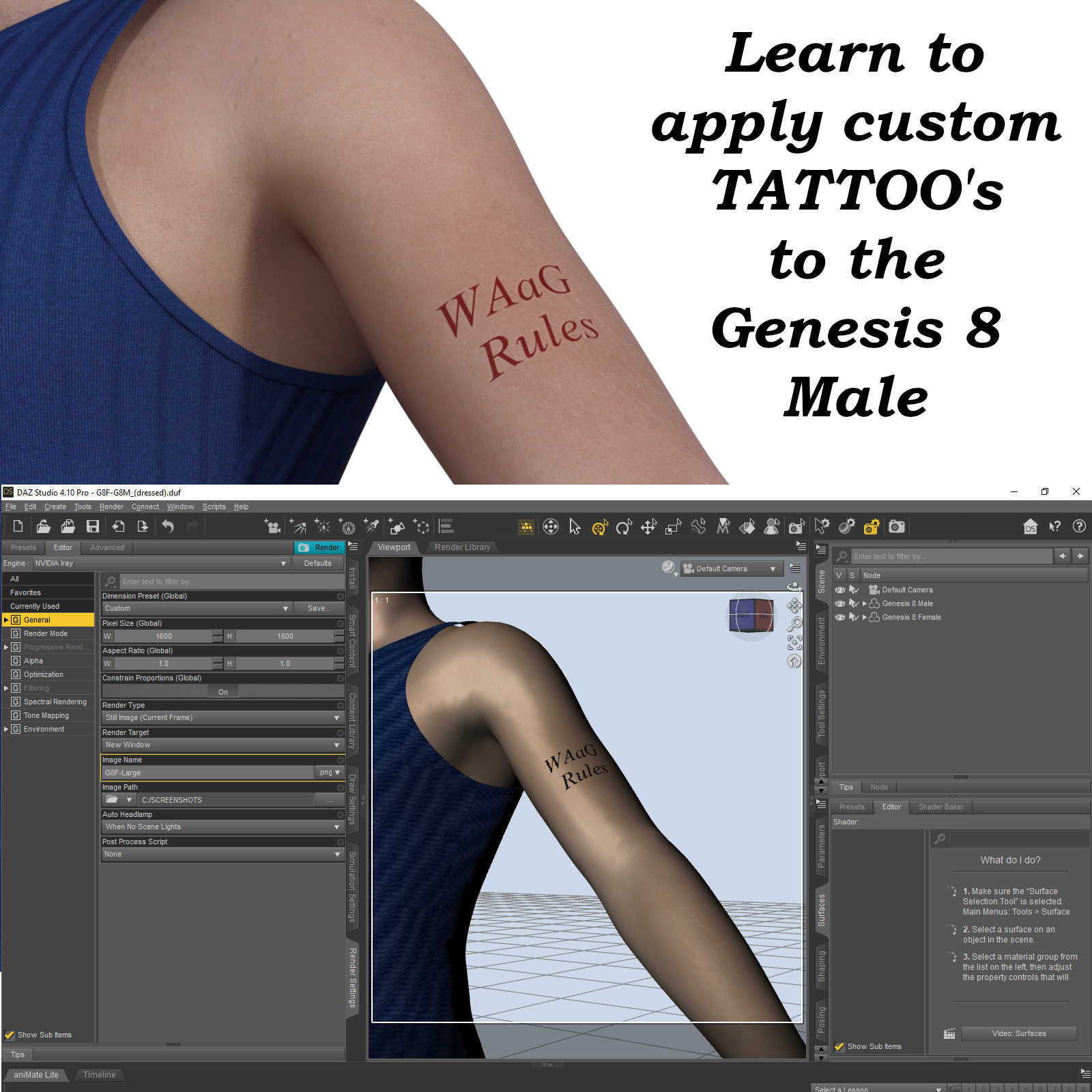 TATS Made Simple, Genesis 8 Figures Get Inked - G8F, G8M, Characters by N/A
