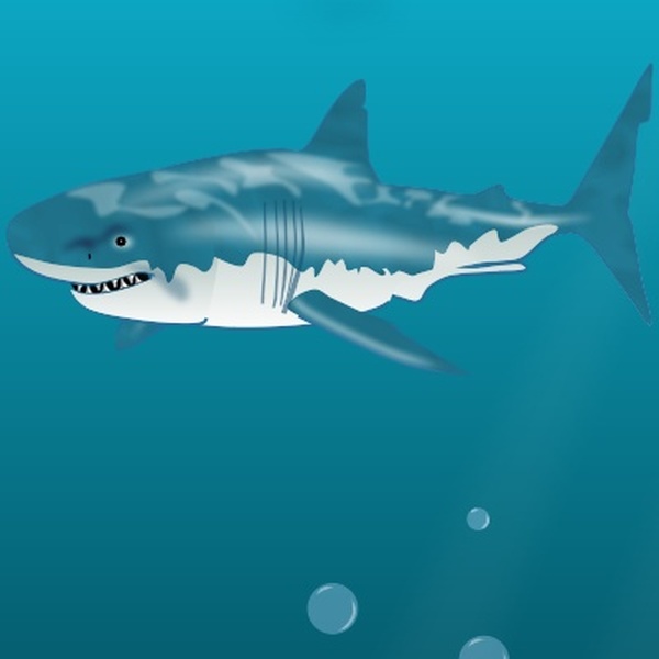 WHITE SHARK by N/A