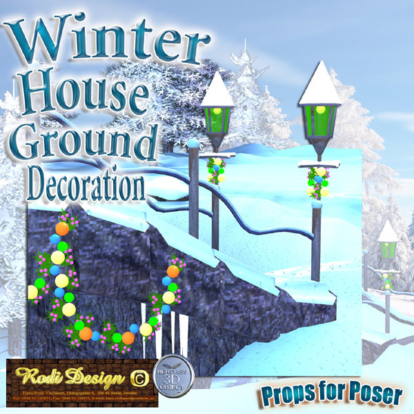 Winter House 2 Ground Decoration by N/A