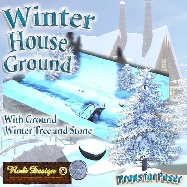 Winter House 2 Ground by N/A
