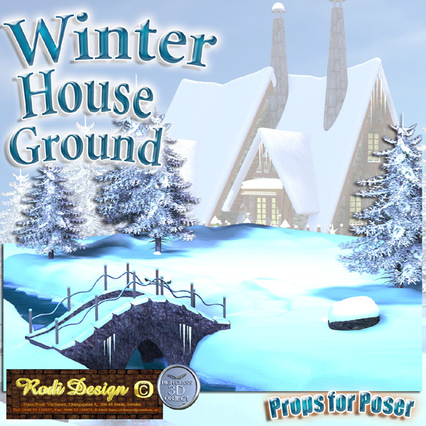 Winter House 2 Ground by N/A
