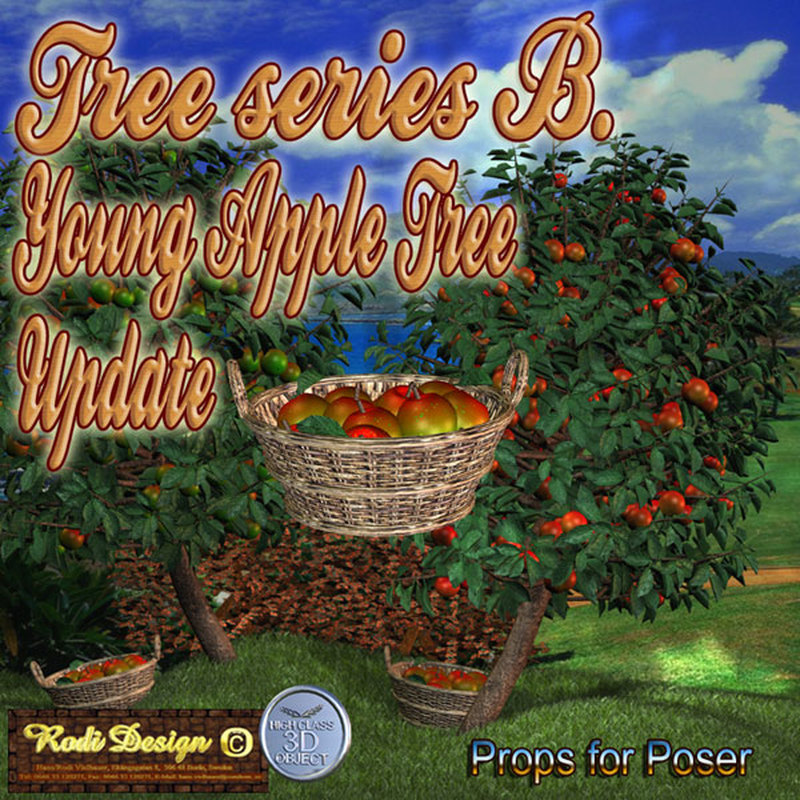 Young Apple Trees by N/A