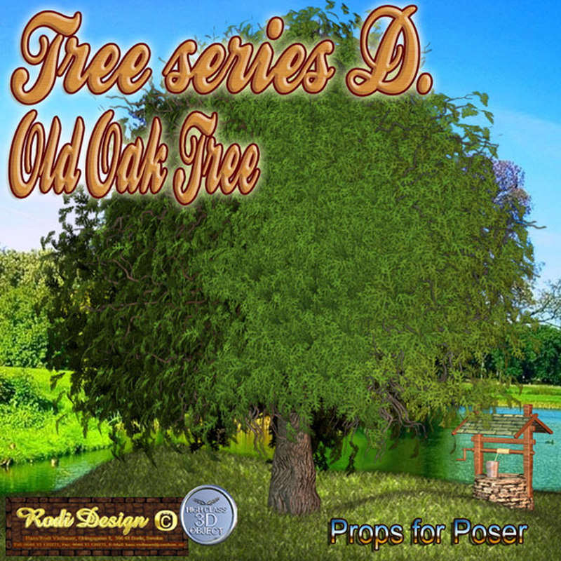 Old Oak Tree by N/A