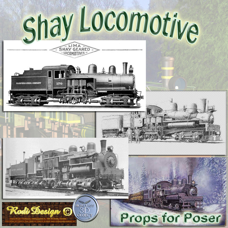 Shay Steam Locomotive by N/A