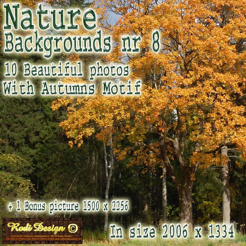 Beautiful Background 8, Autumn by N/A