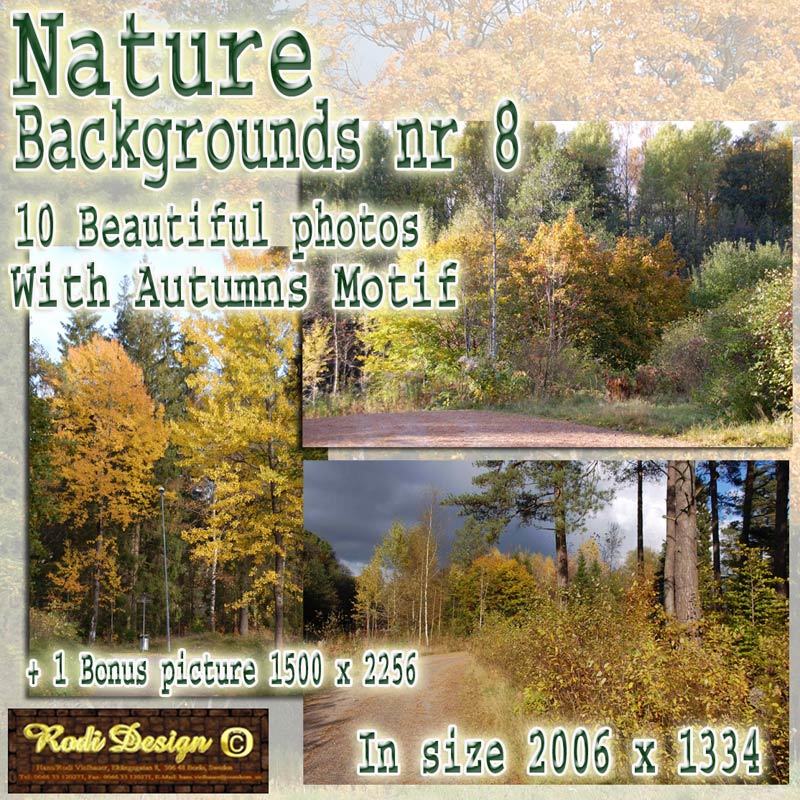 Beautiful Background 8, Autumn by N/A