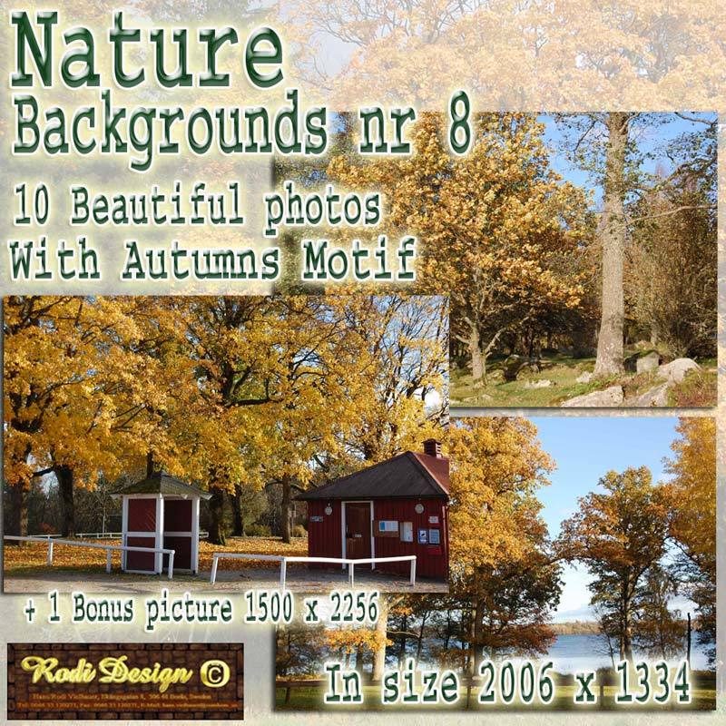 Beautiful Background 8, Autumn by N/A