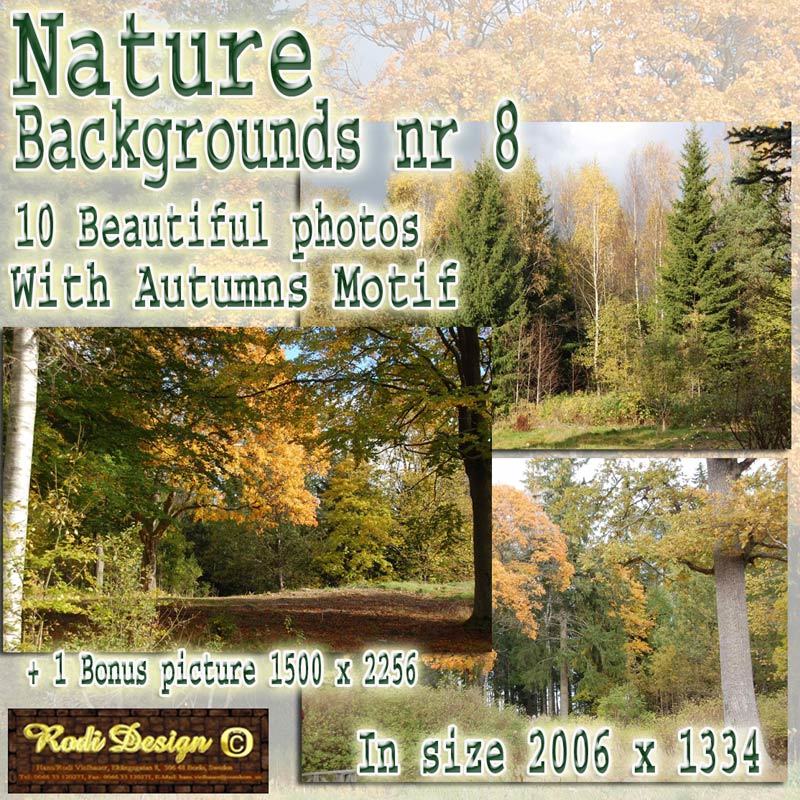 Beautiful Background 8, Autumn by N/A