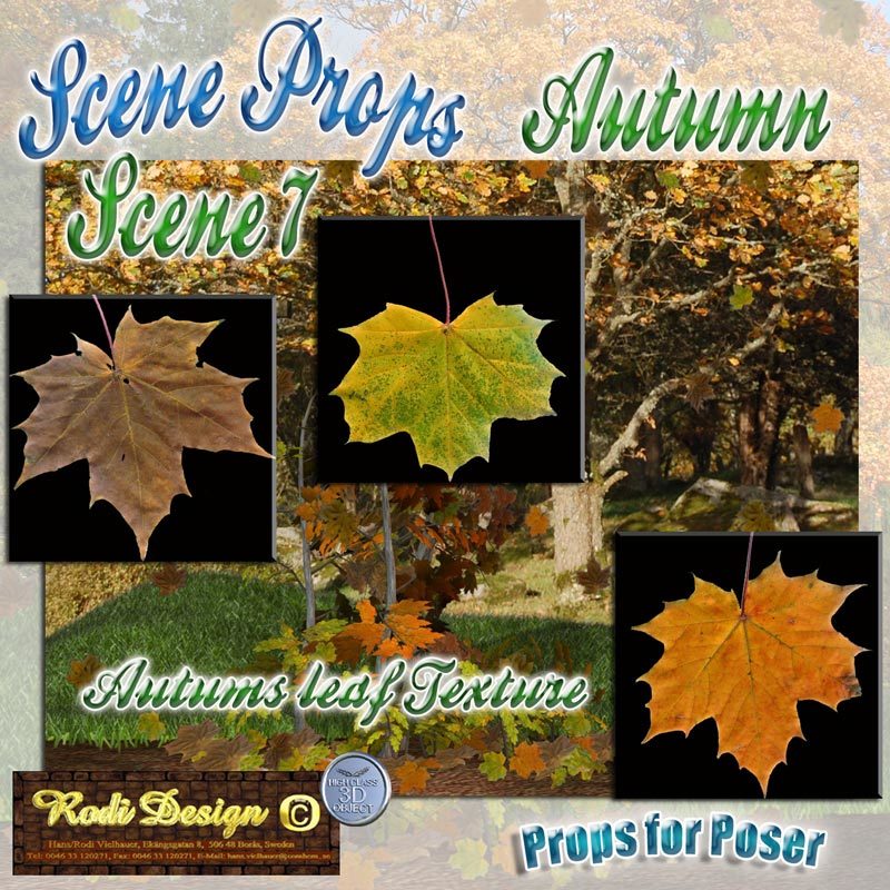 Scene 7, Autumn by N/A