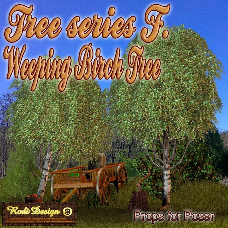 Tree Serie F, Weeping Birch Tree by N/A