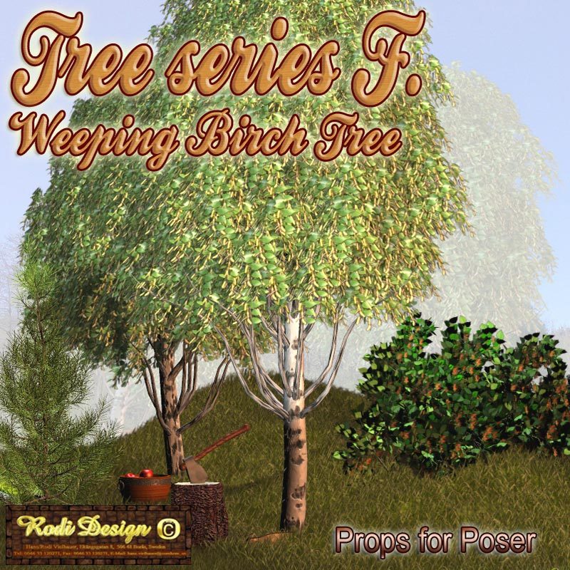 Tree Serie F, Weeping Birch Tree by N/A