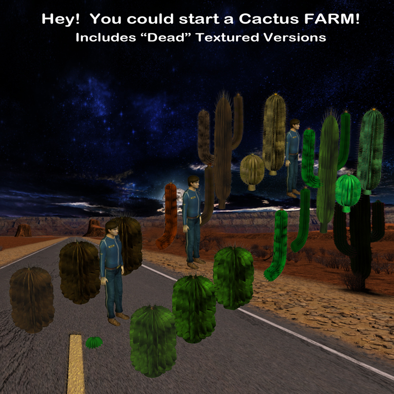 AtoZ DetailTime Cactus #1 v1 by N/A