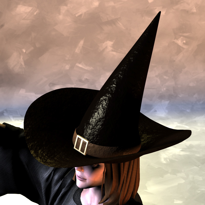 Salem Witch's Hat by N/A