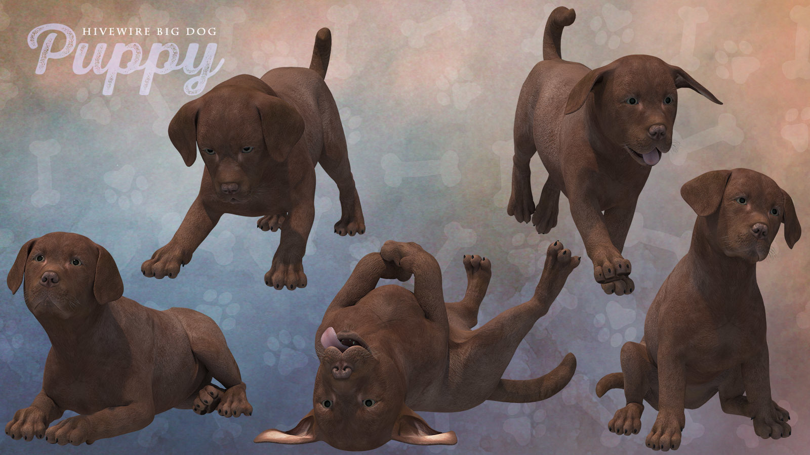 HiveWire Puppy by N/A