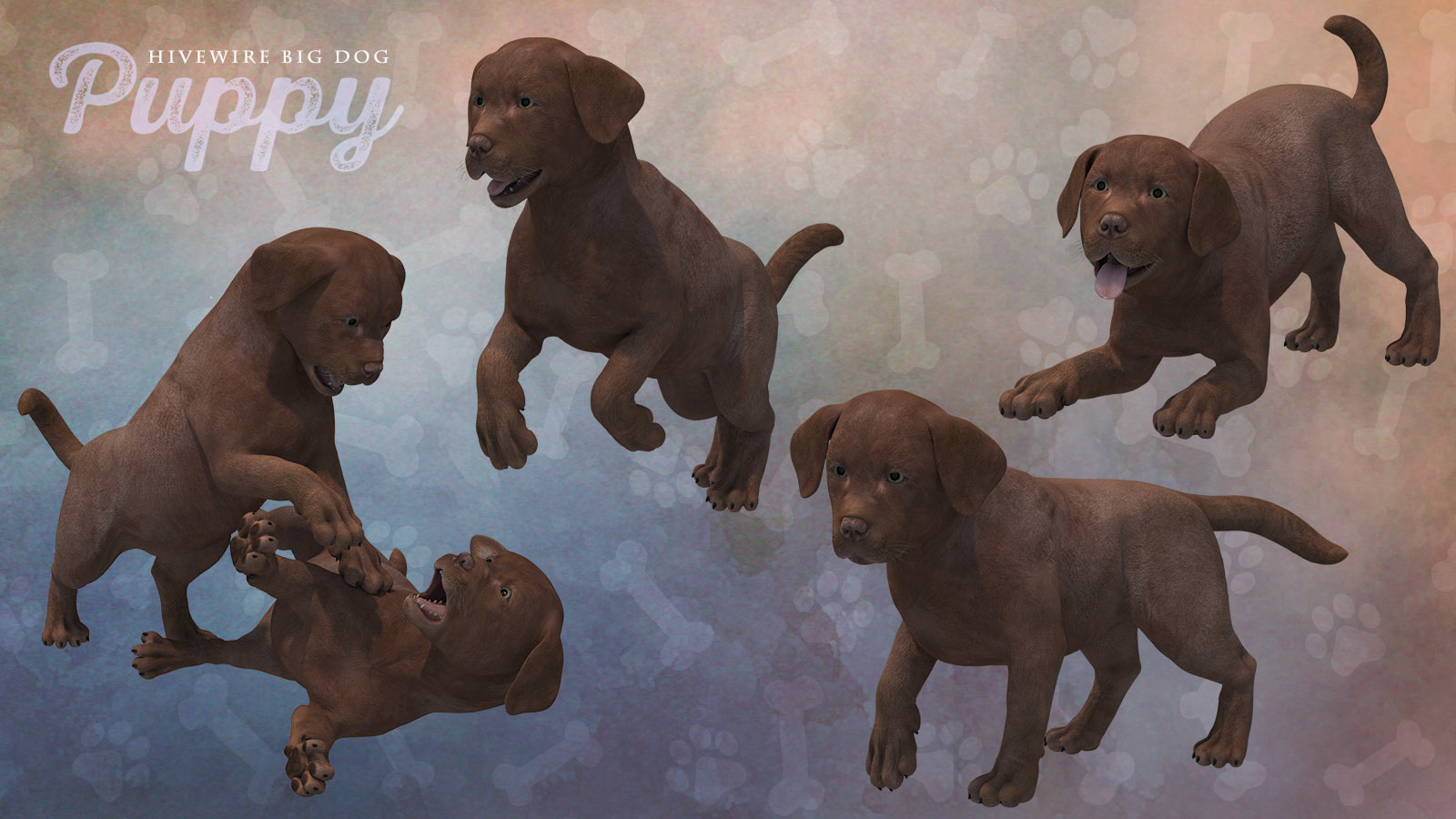 HiveWire Puppy by N/A