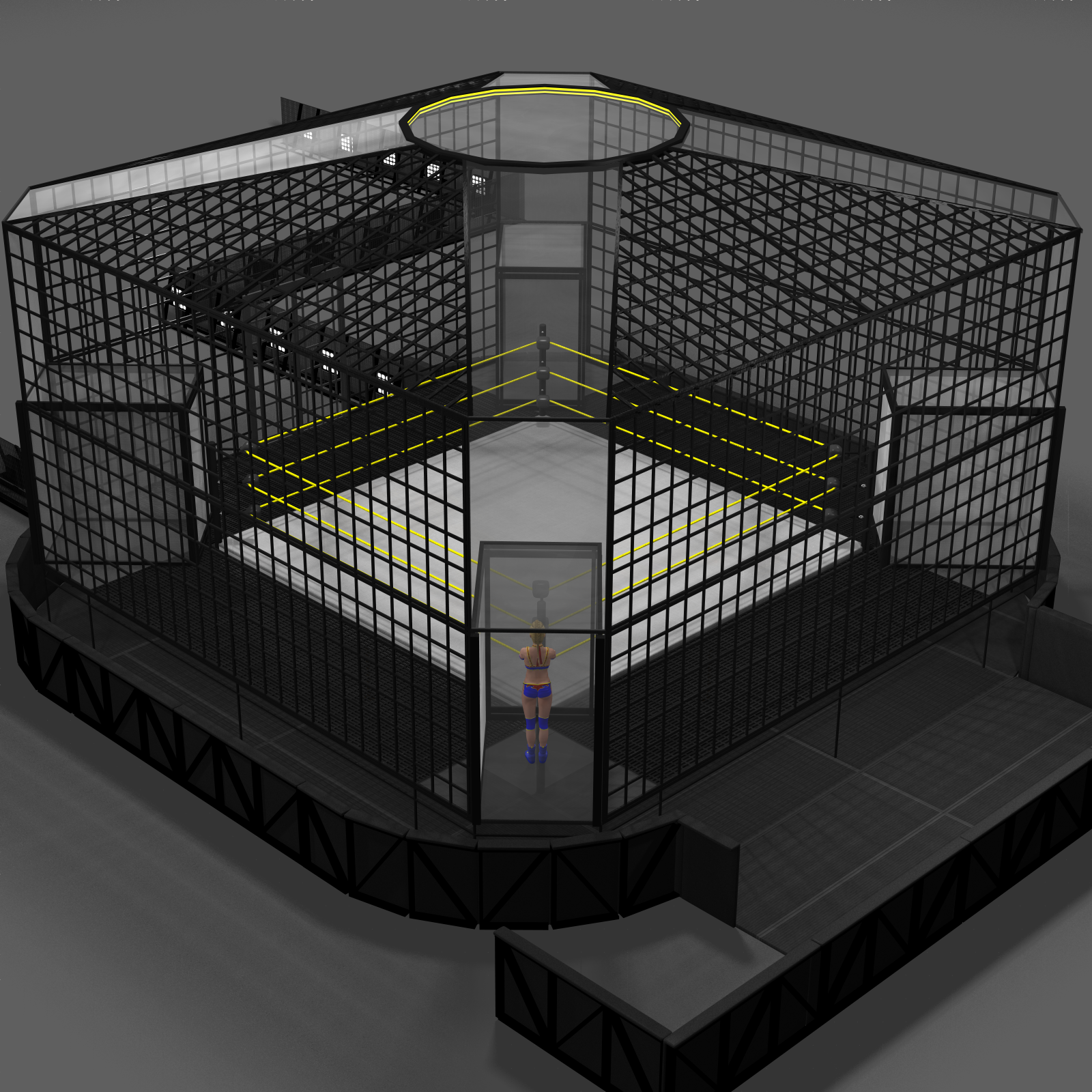 Cages for Dex's Wrestling Set (Poser 7+) by N/A