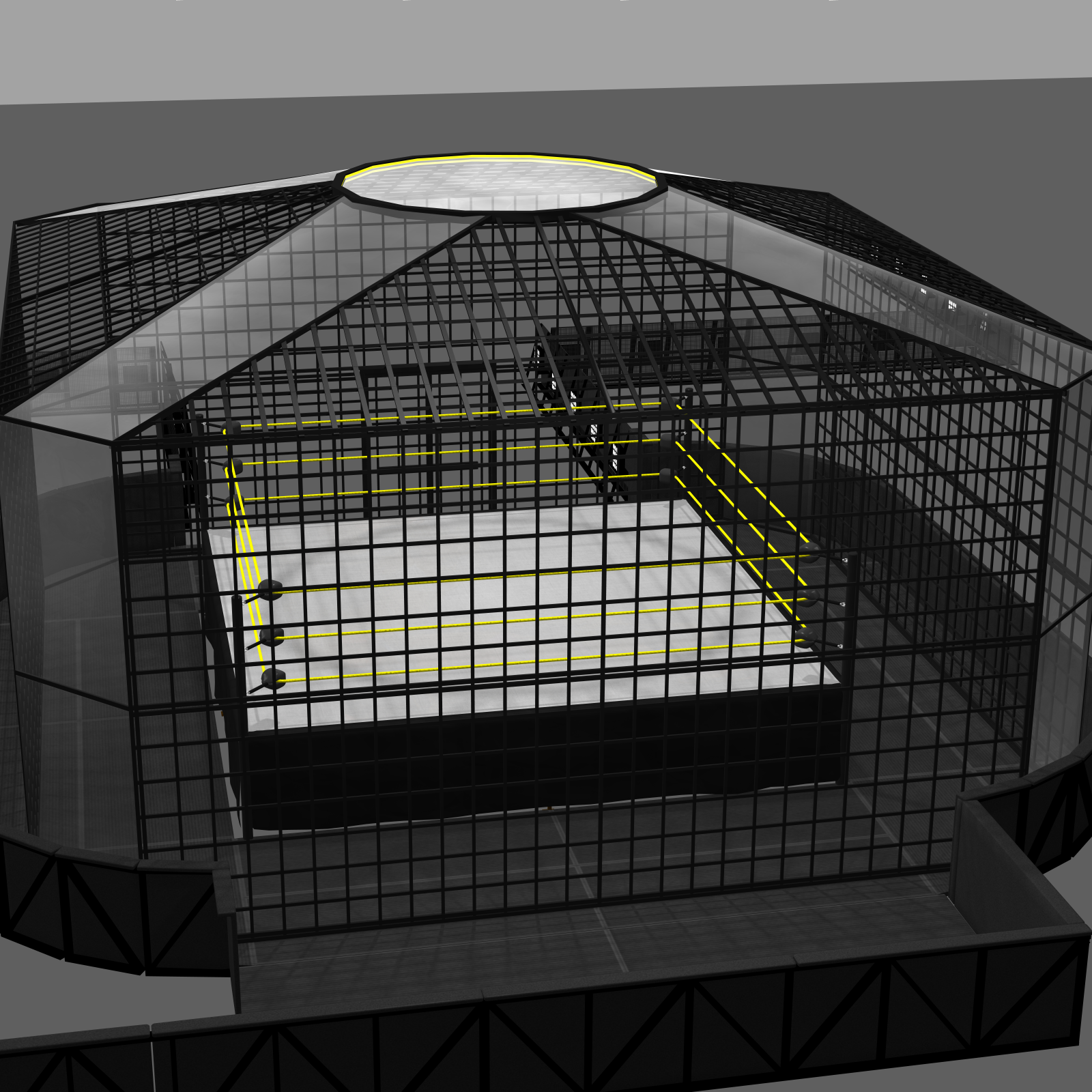 Cages for Dex's Wrestling Set (Poser 7+) by N/A