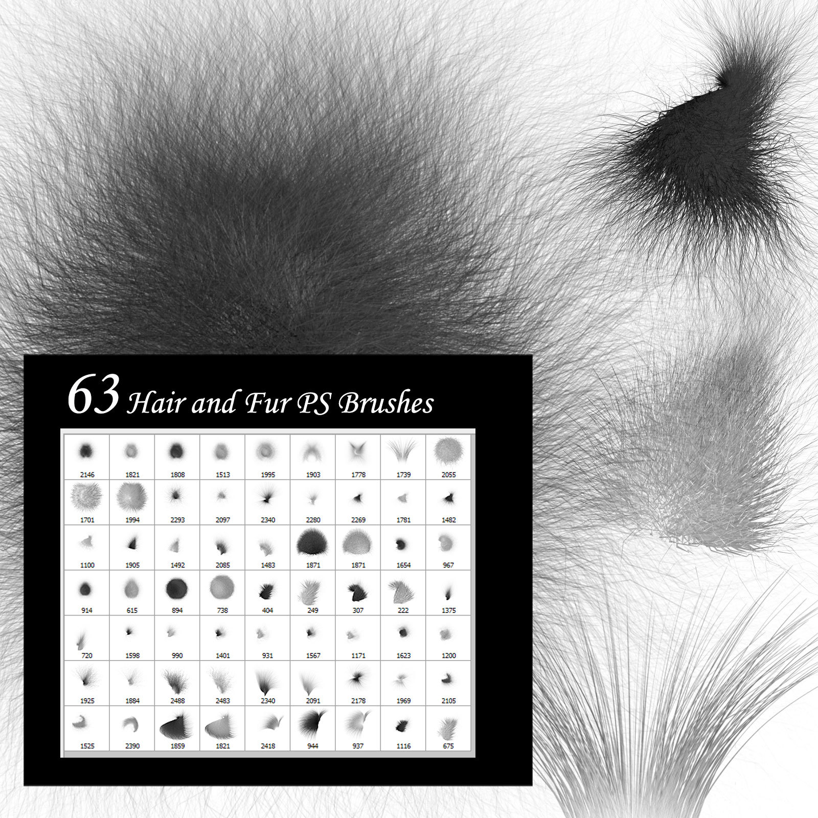Hair and Fur PS Brushes by N/A
