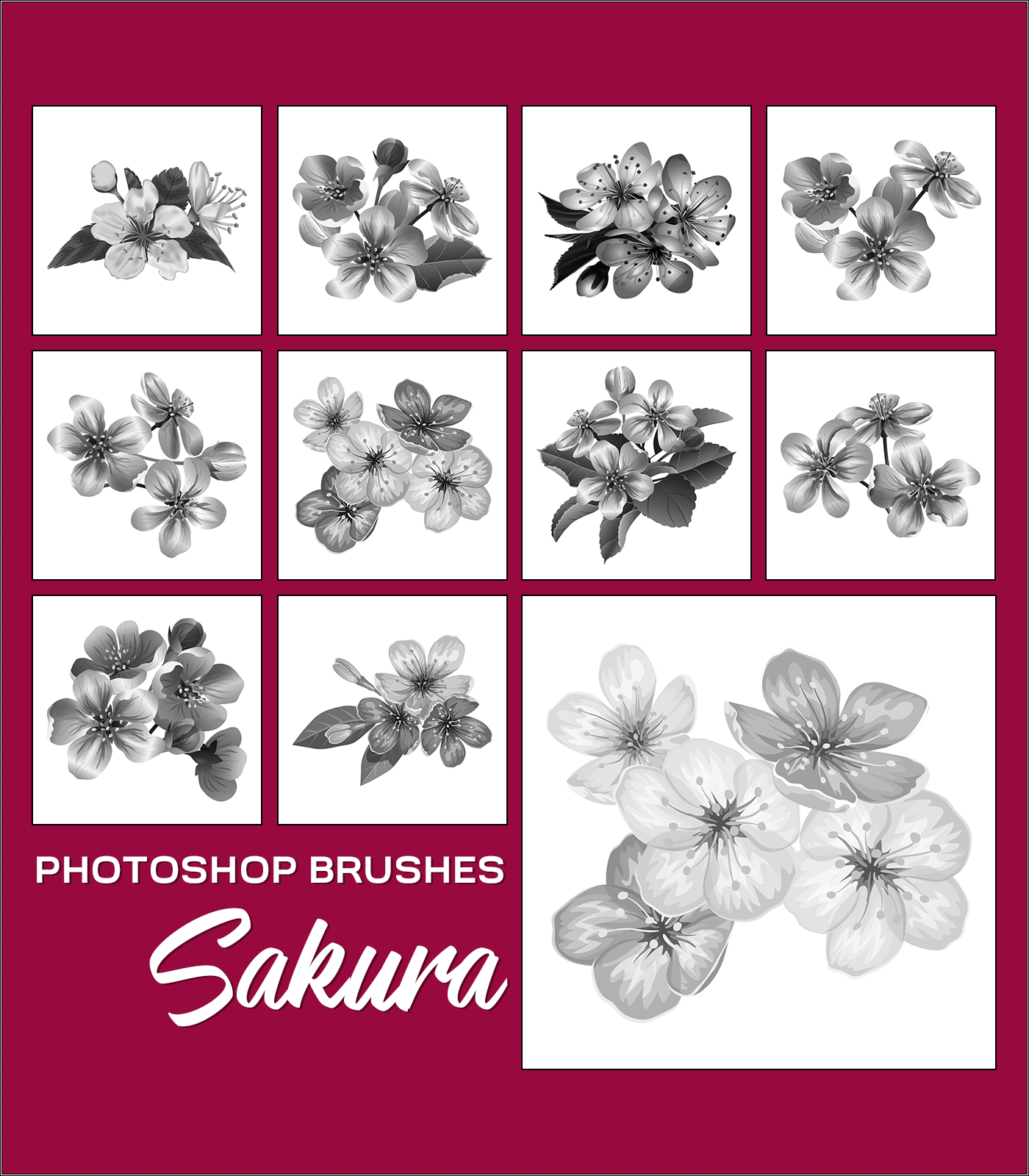 PB - Sakura by N/A