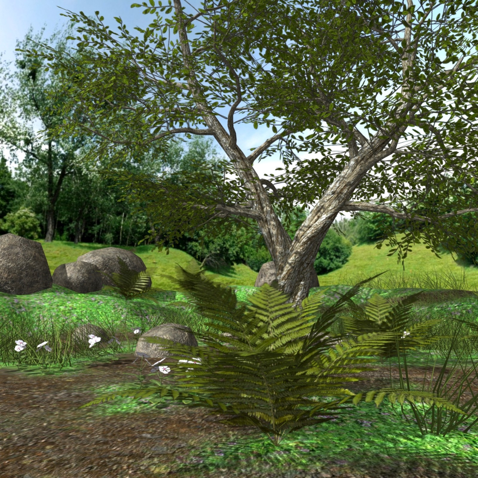 My Tree Poser by N/A