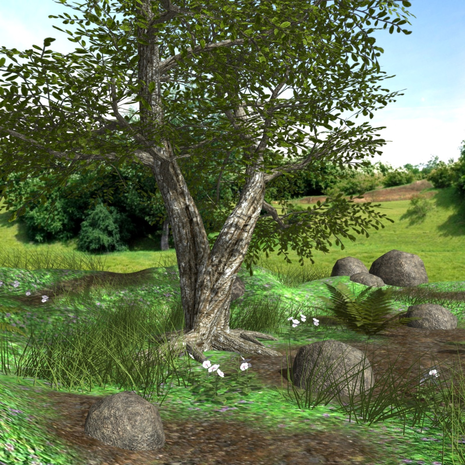 My Tree Poser by N/A