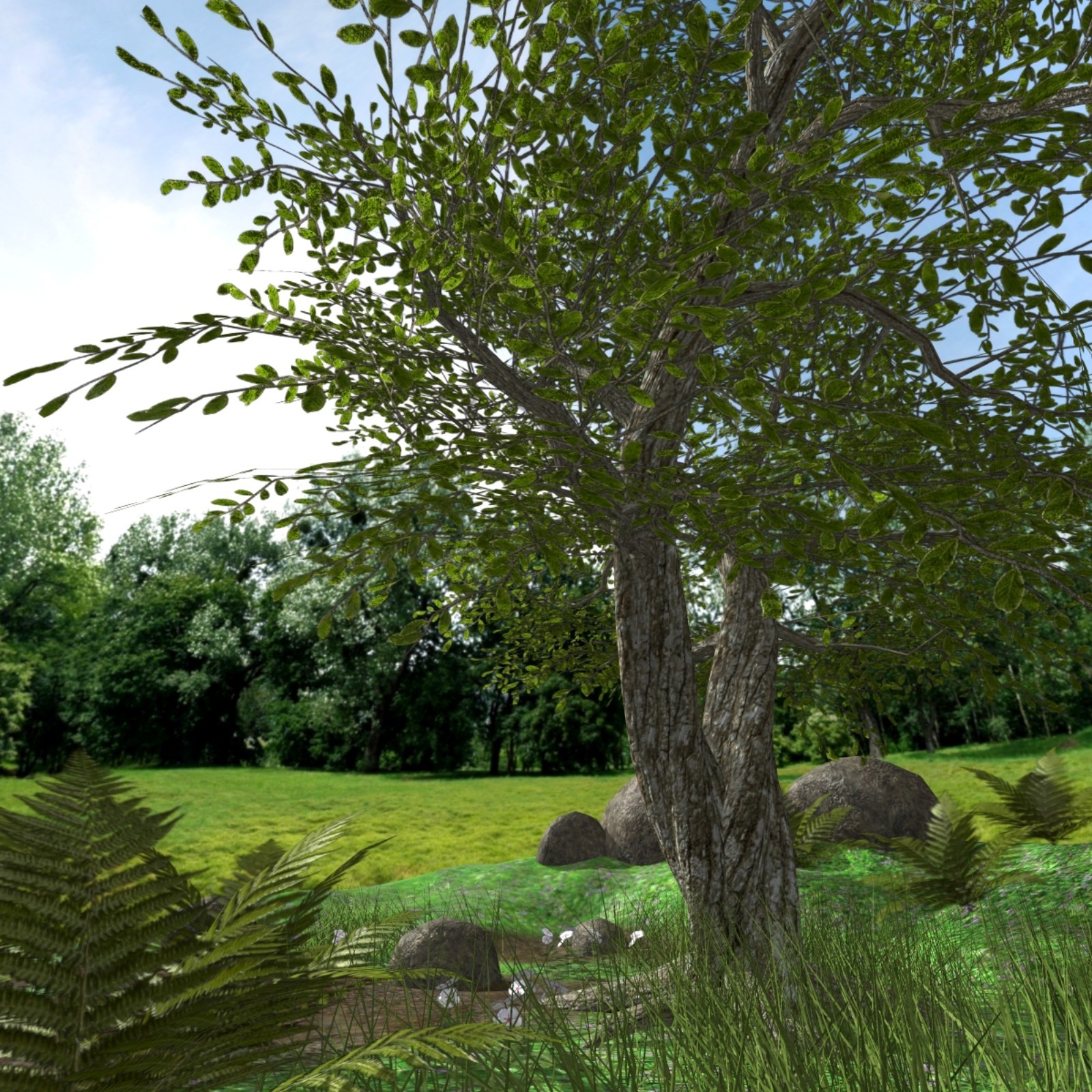 My Tree Poser by N/A