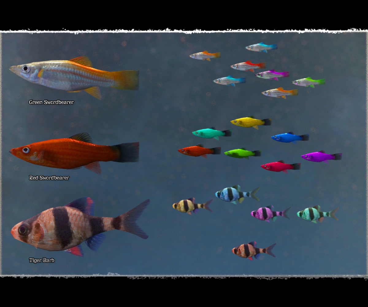 3D Underwater Fauna: Aquarium Fishes by N/A
