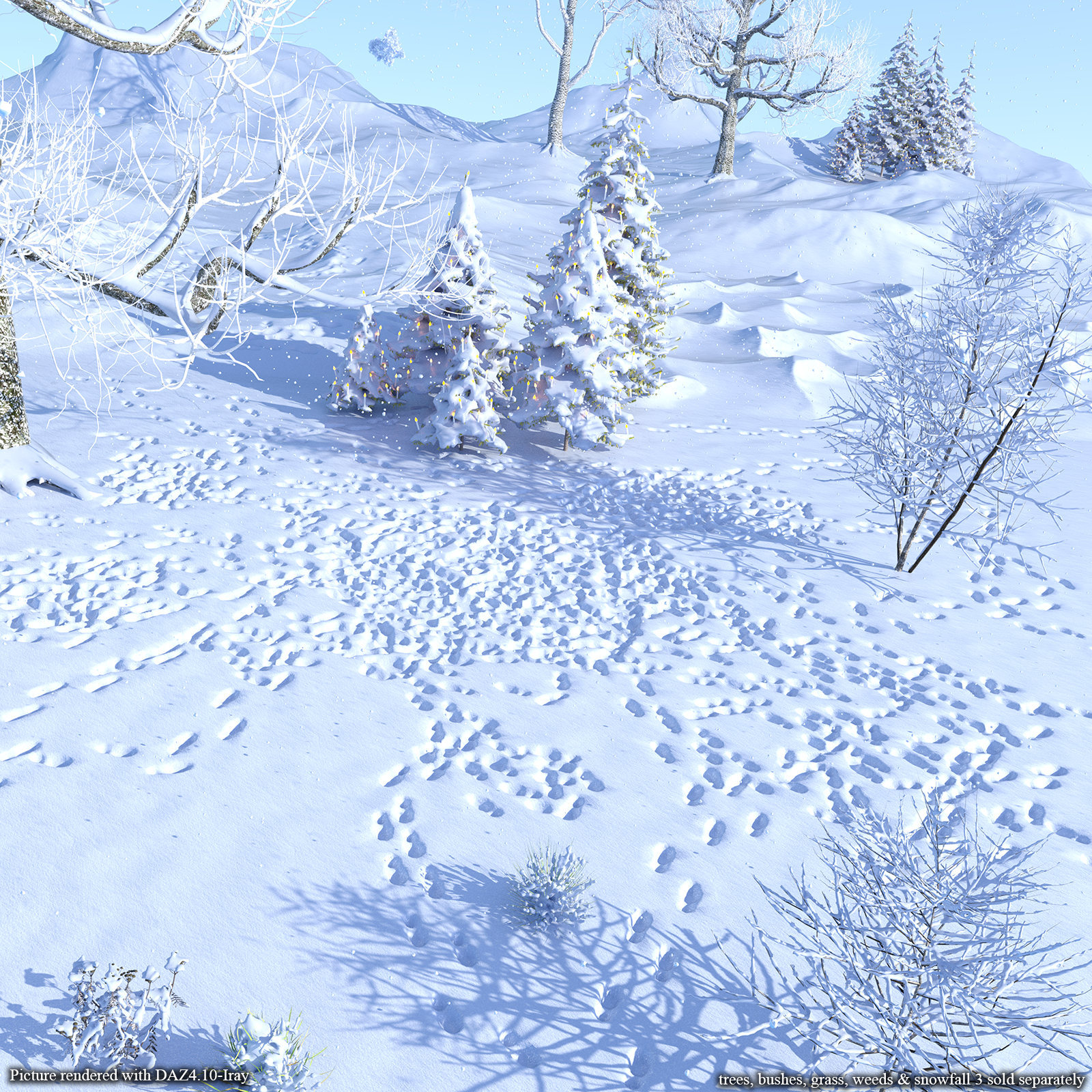Flinks Snow Grounds by N/A