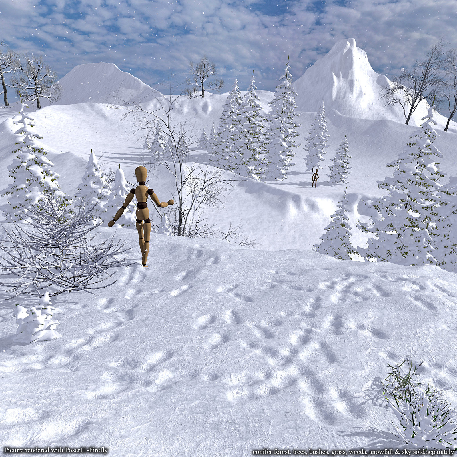 Flinks Snow Grounds by N/A