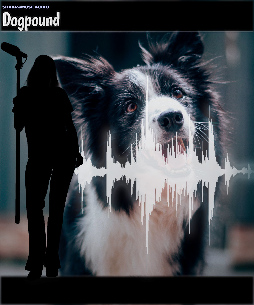 Shaaramuse Audio: Dogpound by N/A