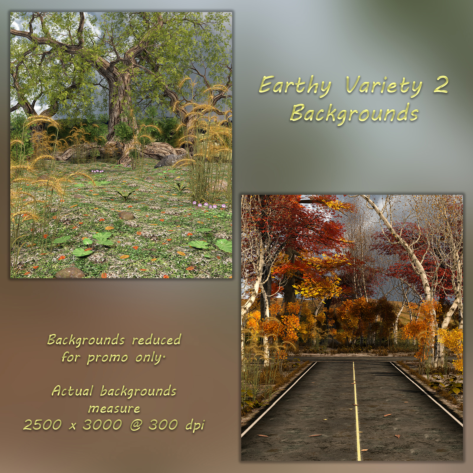 FB Earthy Variety 2 Background Images by N/A