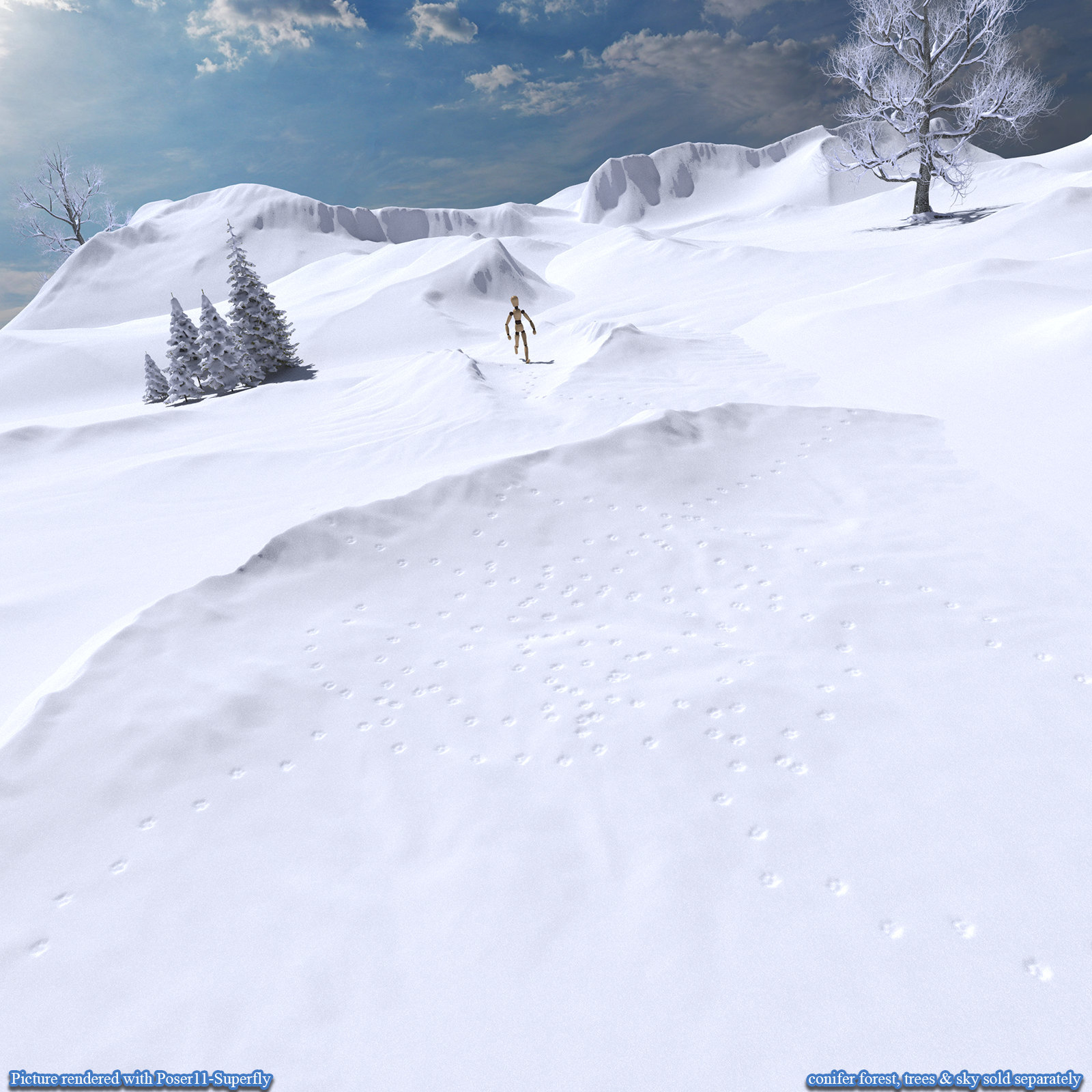 Flinks Snow Grounds 2 by N/A