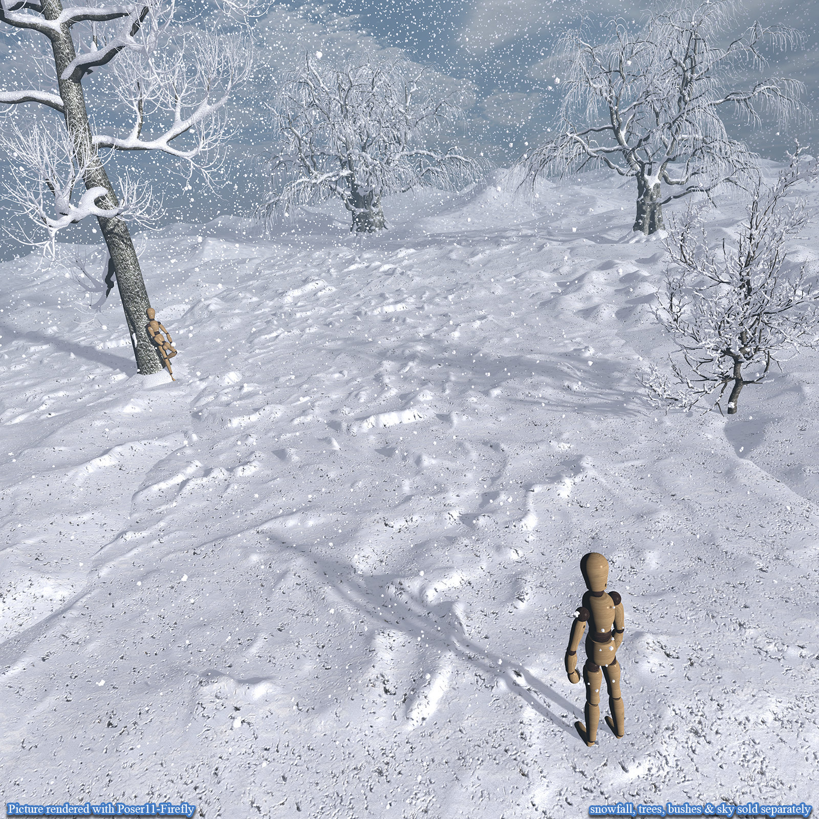 Flinks Snow Grounds 2 by N/A