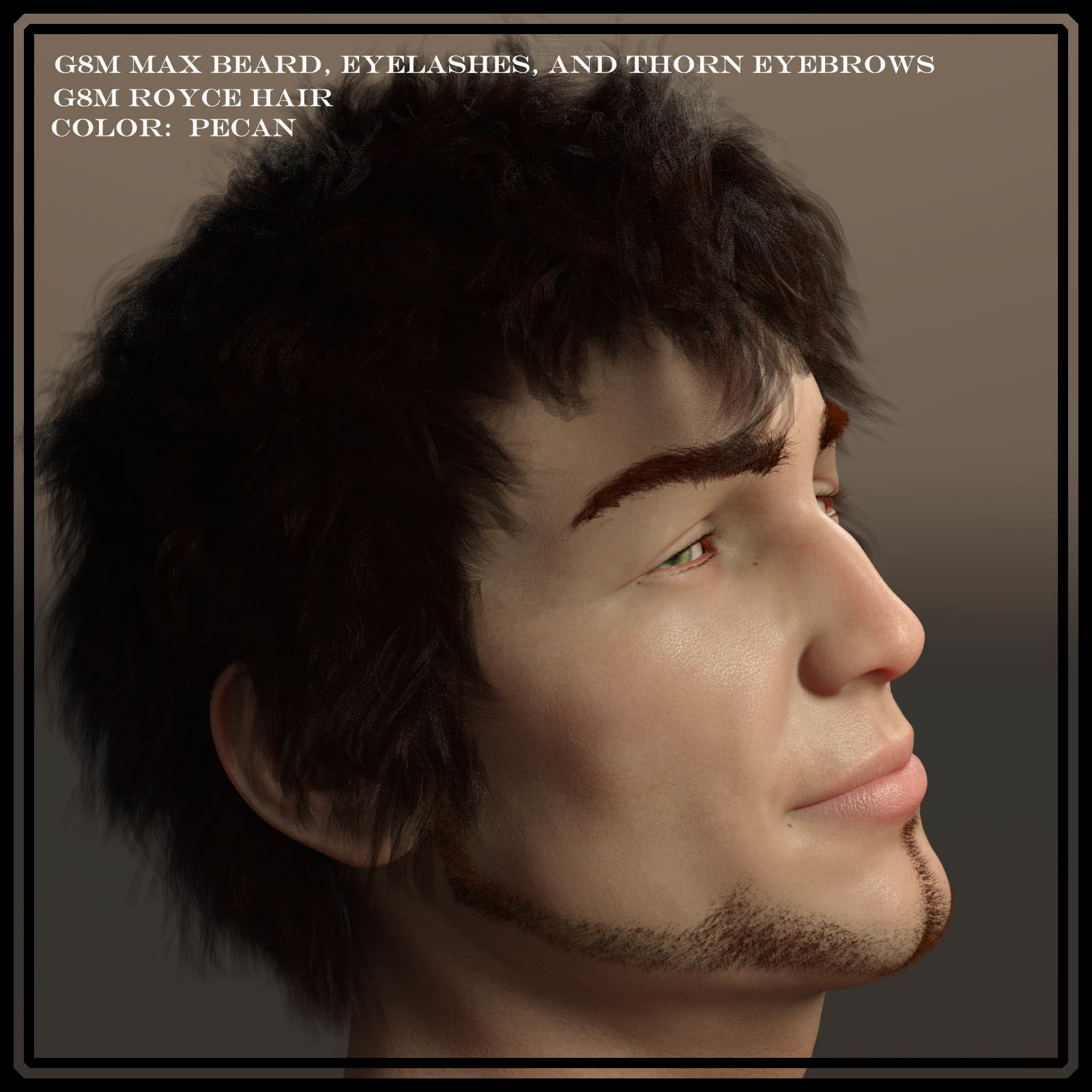 Resurrection Hair Shaders for DS Iray by N/A